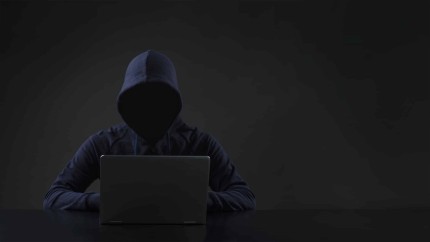 Image d'illustration de l'article : PME : comment se protéger du piratage informatique ?