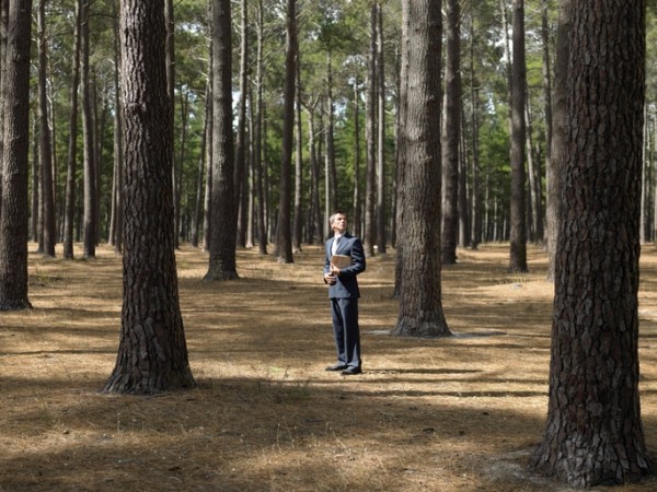 Image d'illustration de l'article : Auto-entrepreneurs : l’arbre qui cache la forêt