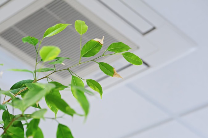 Image d'illustration de l'article : Bureau : pourquoi et comment améliorer la qualité de l’air intérieur ?